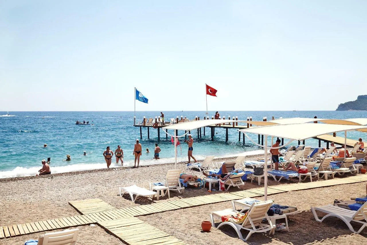 Palmet Beach Resort Hotel contacts